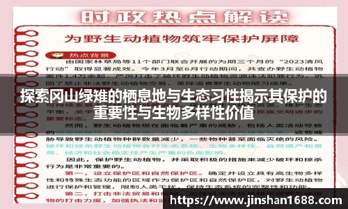 XK星空体育下载