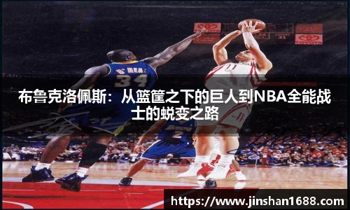 XK星空体育下载